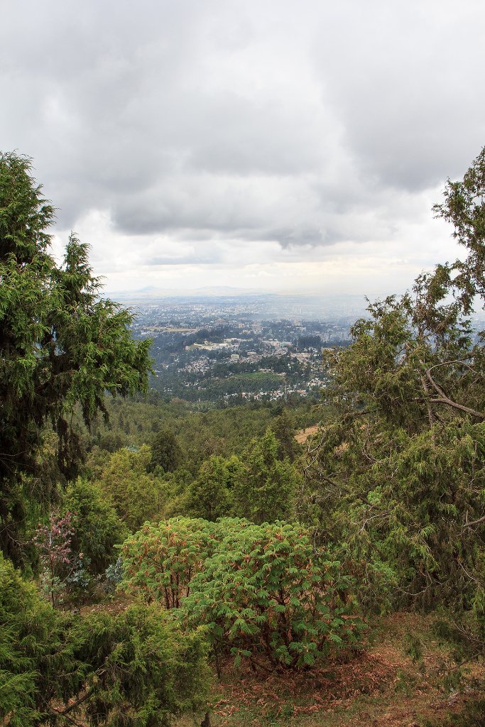 15-View of Addis Ababa from Entoto Hills.jpg - View of Addis Ababa from Entoto Hills